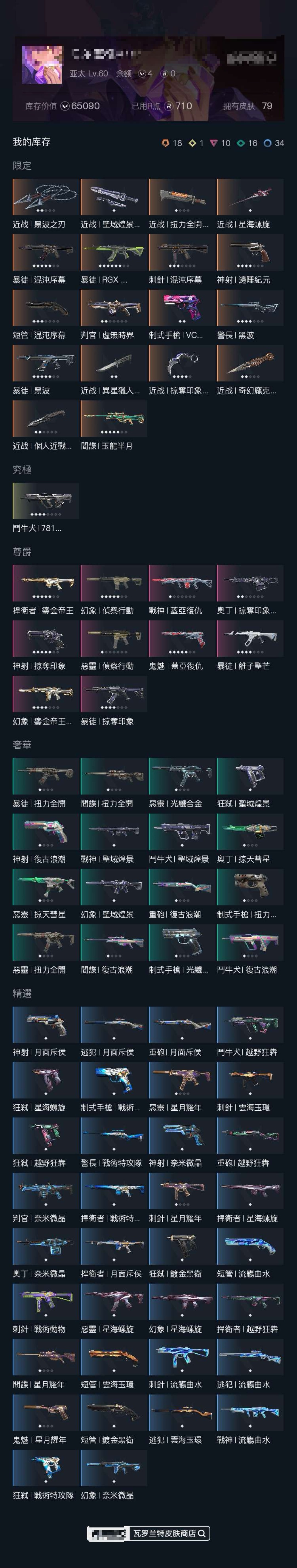 瓦罗兰特截图-37064