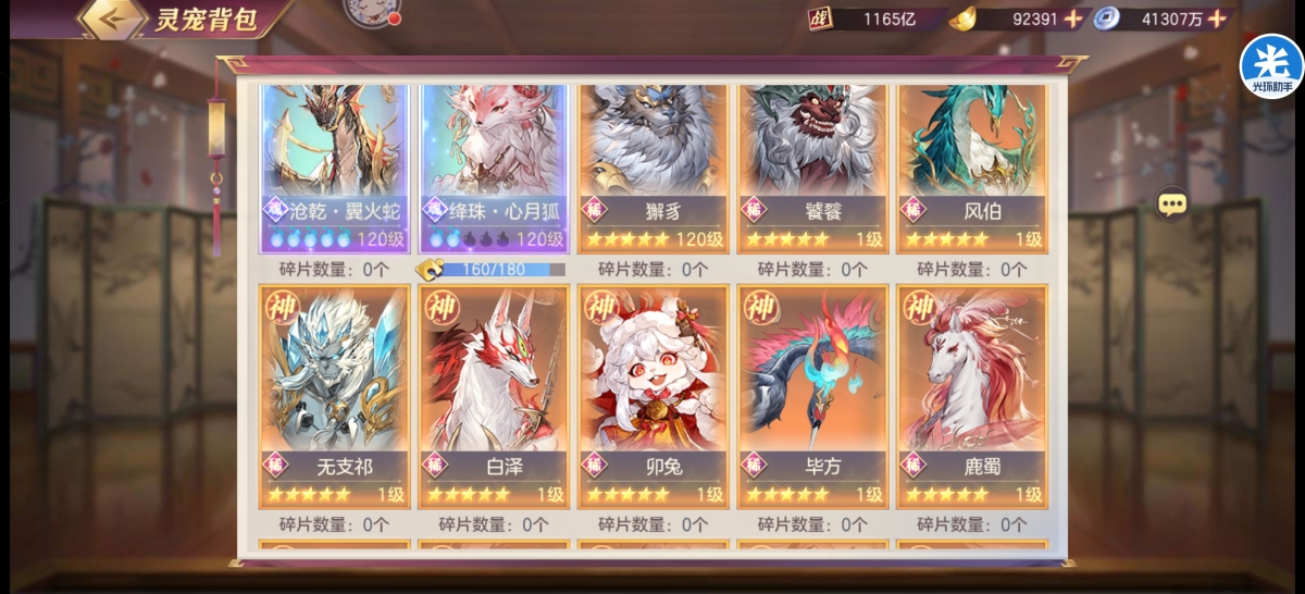 1200亿女团号。宠物基本都满。心月狐马上三火。大乔差30碎片五火。安全换绑。便宜出。详情见图【自己截图】