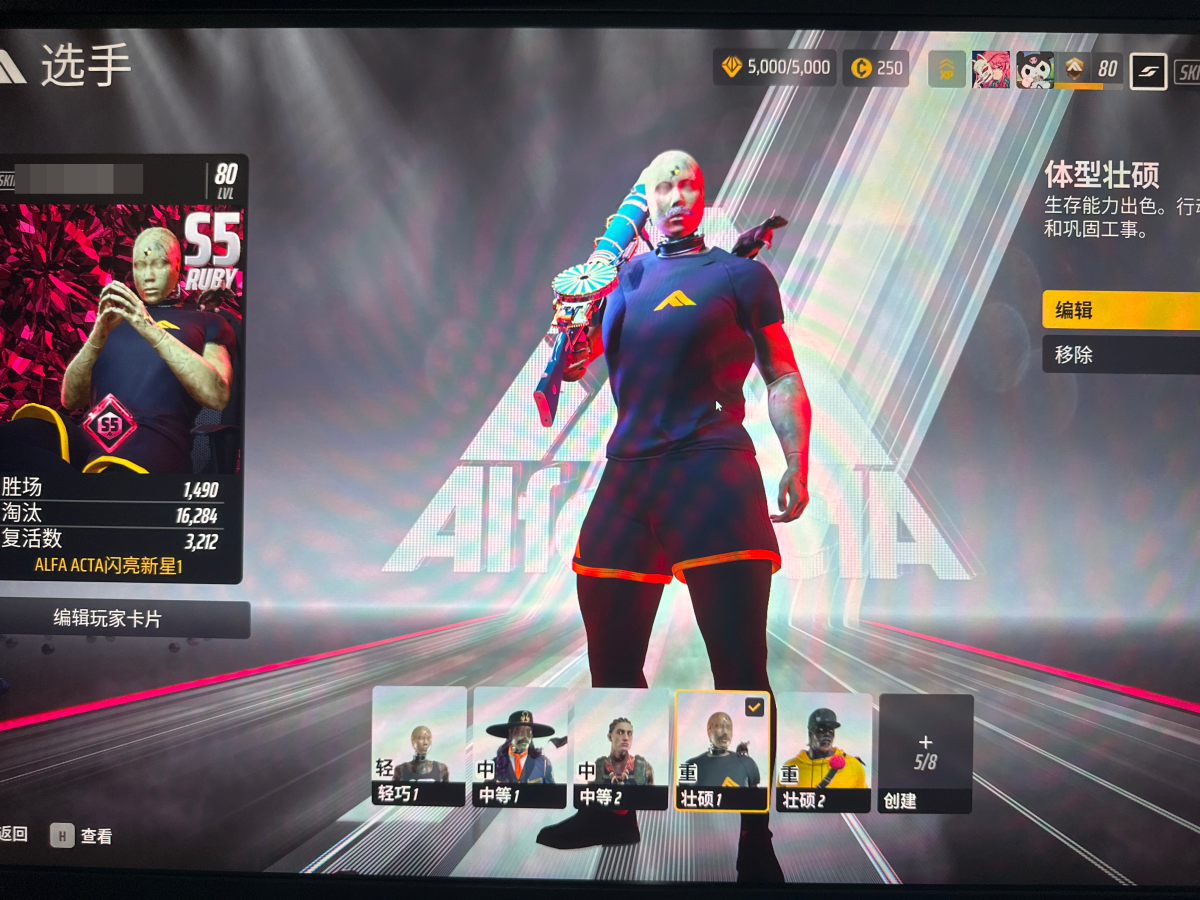 s5红宝石 s4钻石，详情看图【STEAM】【有初邮】【自主截图】