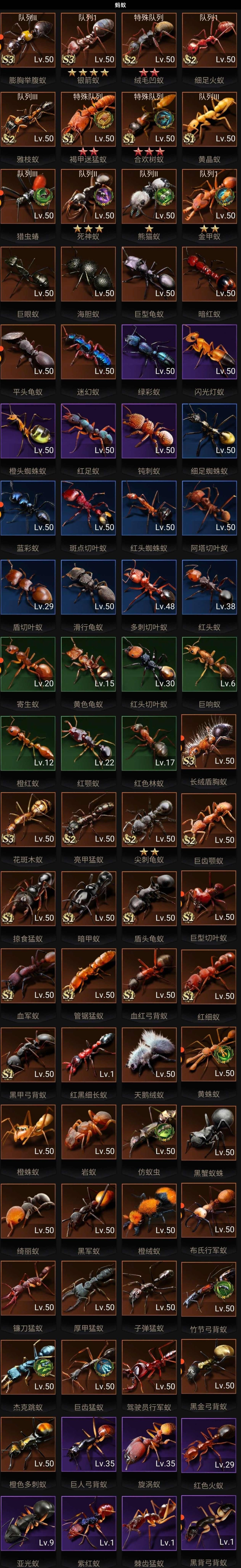 小小蚁国截图-66506